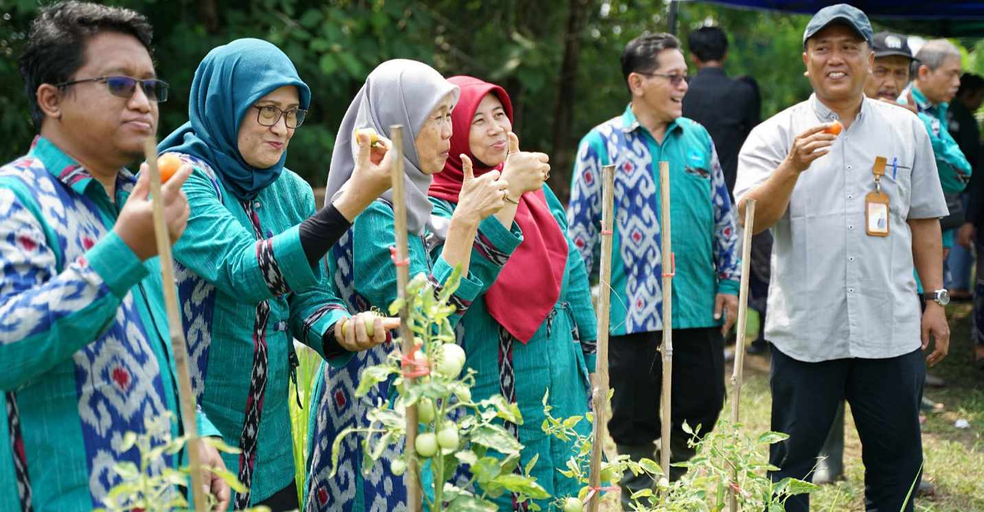 Kegiatan Prodi Agrotek UMBY - Dulu Pertanian jadi Agroteknologi Jurusan Strategis di Bidang Pertanian Masa Kini